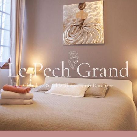 Chambres & Tables D'Hotes Le Pech Grand Saint-Sozy Екстериор снимка